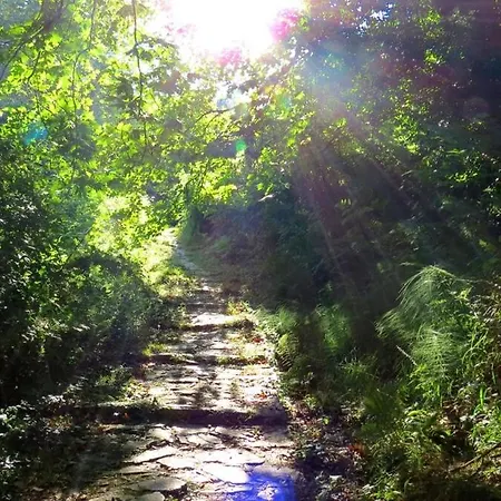 Pelion * Tsagarada