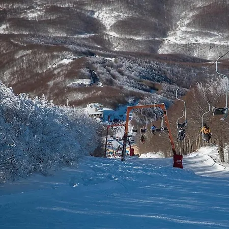 Pelion