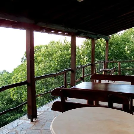 Pelion *