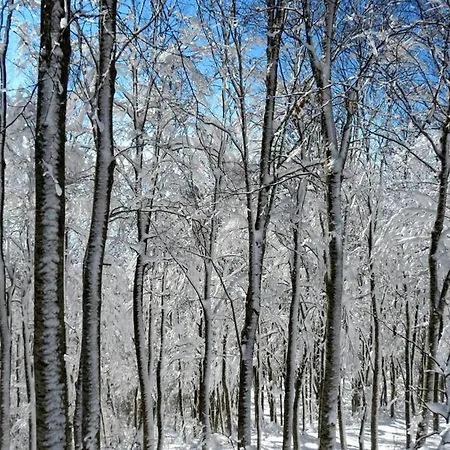 Pelion Tsagarada