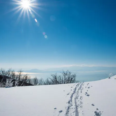 Pelion